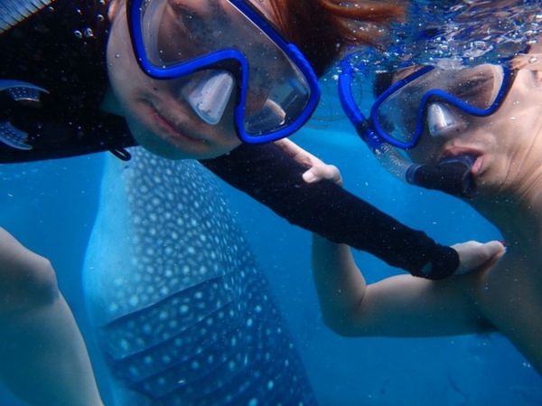 フィリピン「🇵🇭Cebu🐋」の写真