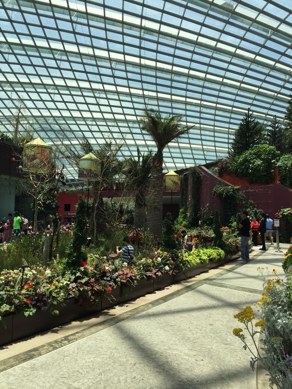 シンガポール・マリーナベイサンズ「お目当ては、ラッフルズ」の写真：巨大植物園。未来都市を散歩しているみたい🌵