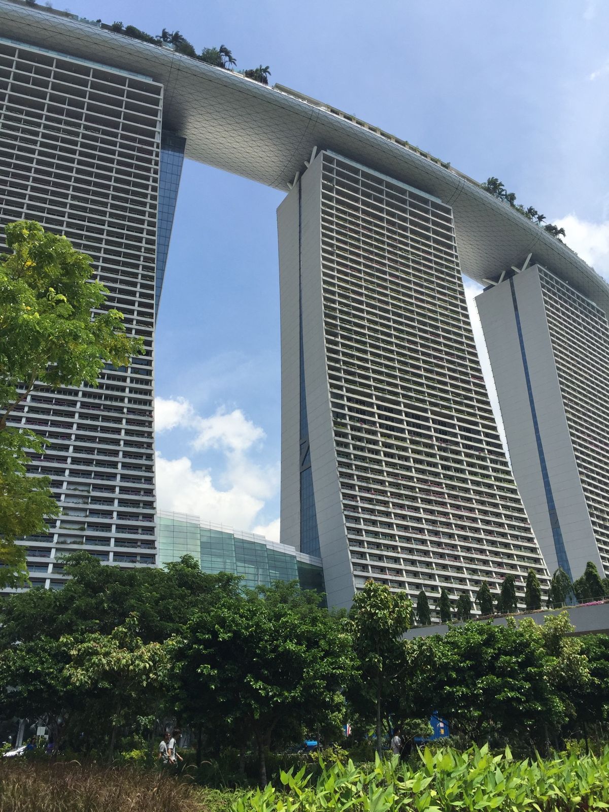 シンガポールで欠かせないもの。チキンライスとマリーナベイサンズからの夜景、...
