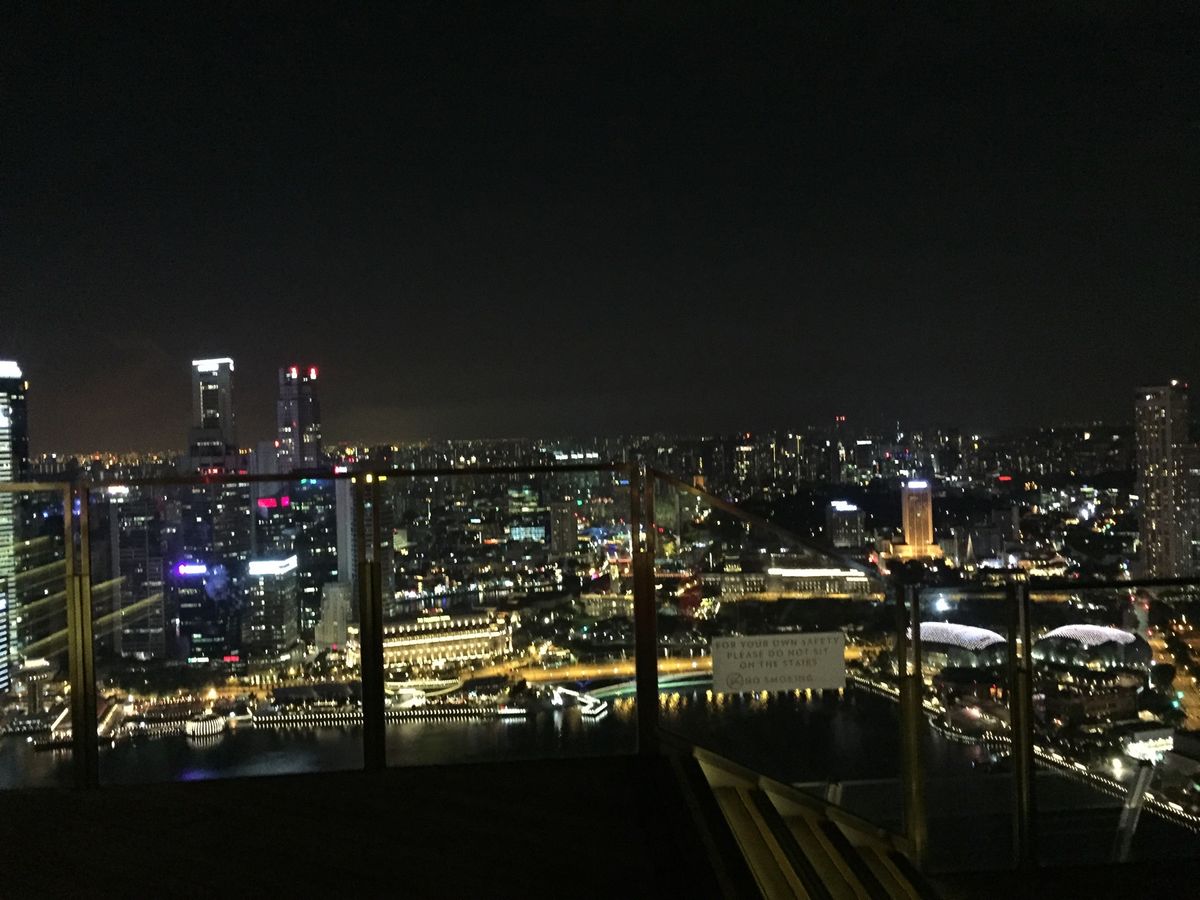 シンガポールで欠かせないもの。チキンライスとマリーナベイサンズからの夜景、...