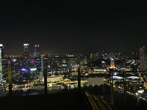 シンガポールで欠かせないもの。チキンライスとマリーナベイサンズからの夜景、...