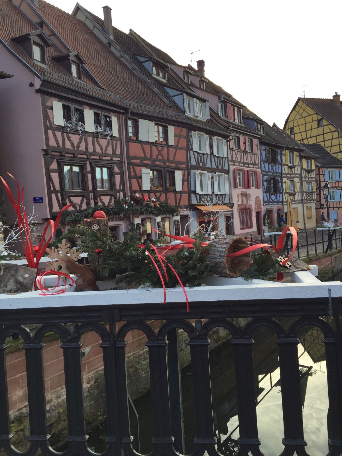 コールマル💕アルザスの小さな村。ミュスカ🥂は最高‼️