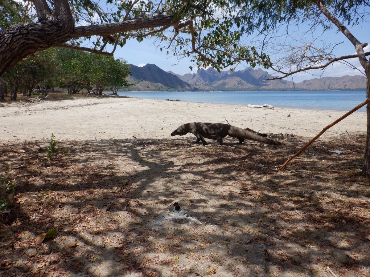 バリ島で終わらせるのは勿体無い、、、
と思わせるほど面白いところです。