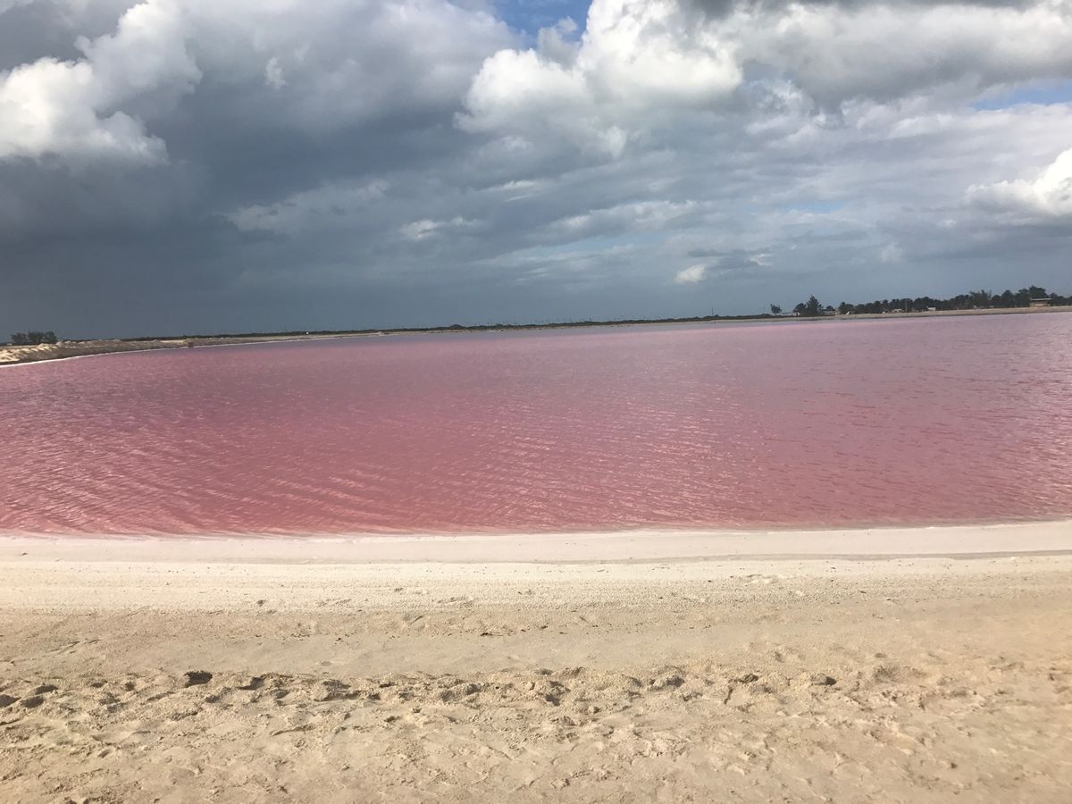 とにかく、タコスが最高に美味かった！