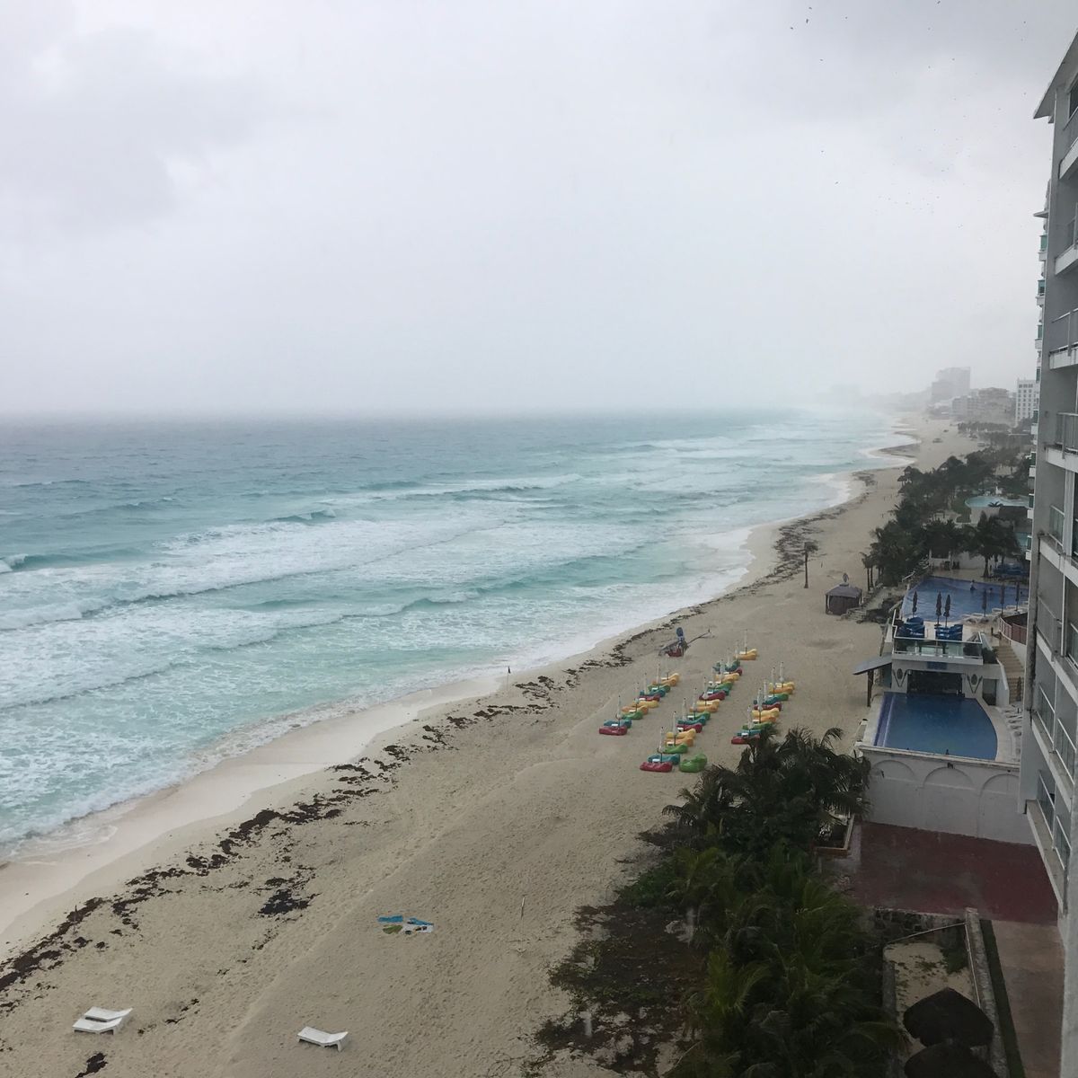 とにかく、タコスが最高に美味かった！