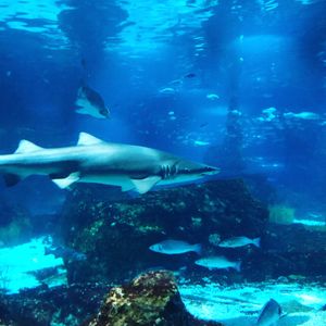 2019年スペイン芸術の旅 4日目
時間があれば行こうと思ってたバルセロナ...