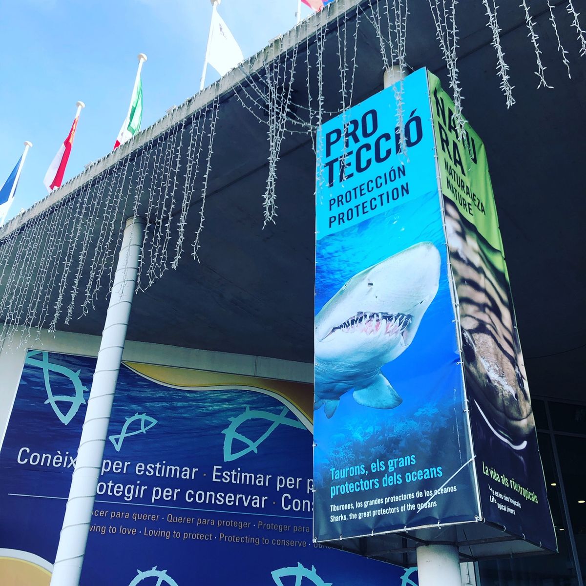 2019年スペイン芸術の旅 4日目
時間があれば行こうと思ってたバルセロナ...