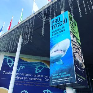 2019年スペイン芸術の旅 4日目
時間があれば行こうと思ってたバルセロナ...
