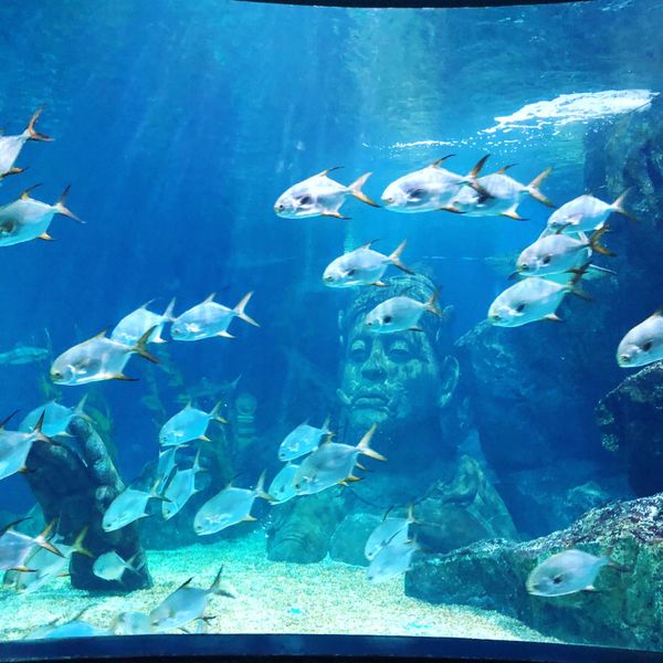 タイ・バンコク「2018年タイ旅行」の写真：2018年タイ🇹🇭バンコク。サイアムハ...