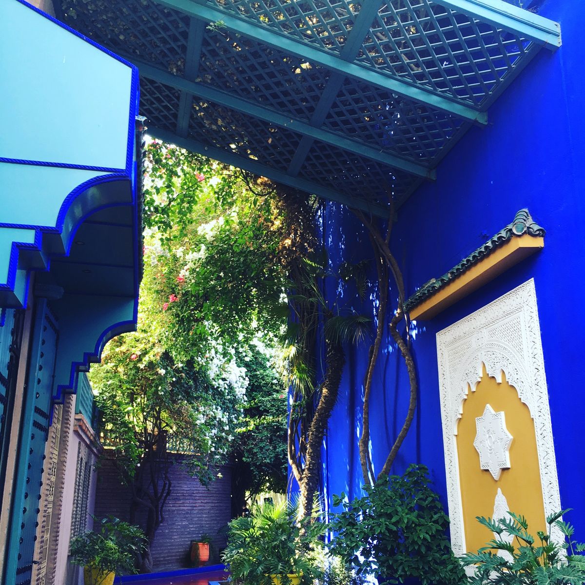 2016年モロッコ🇲🇦マラケシュ。イヴ・サンローランが愛した庭。マジ...