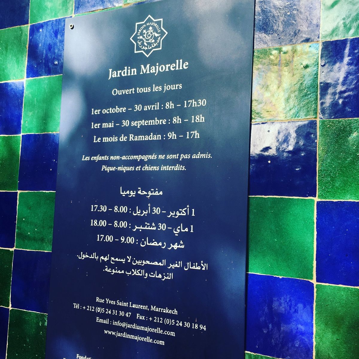 2016年モロッコ🇲🇦マラケシュ。イヴ・サンローランが愛した庭。マジ...