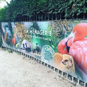 2016フランス🇫🇷パリ。
パリ植物園付属動物園。クリュニー中世美術館が休...