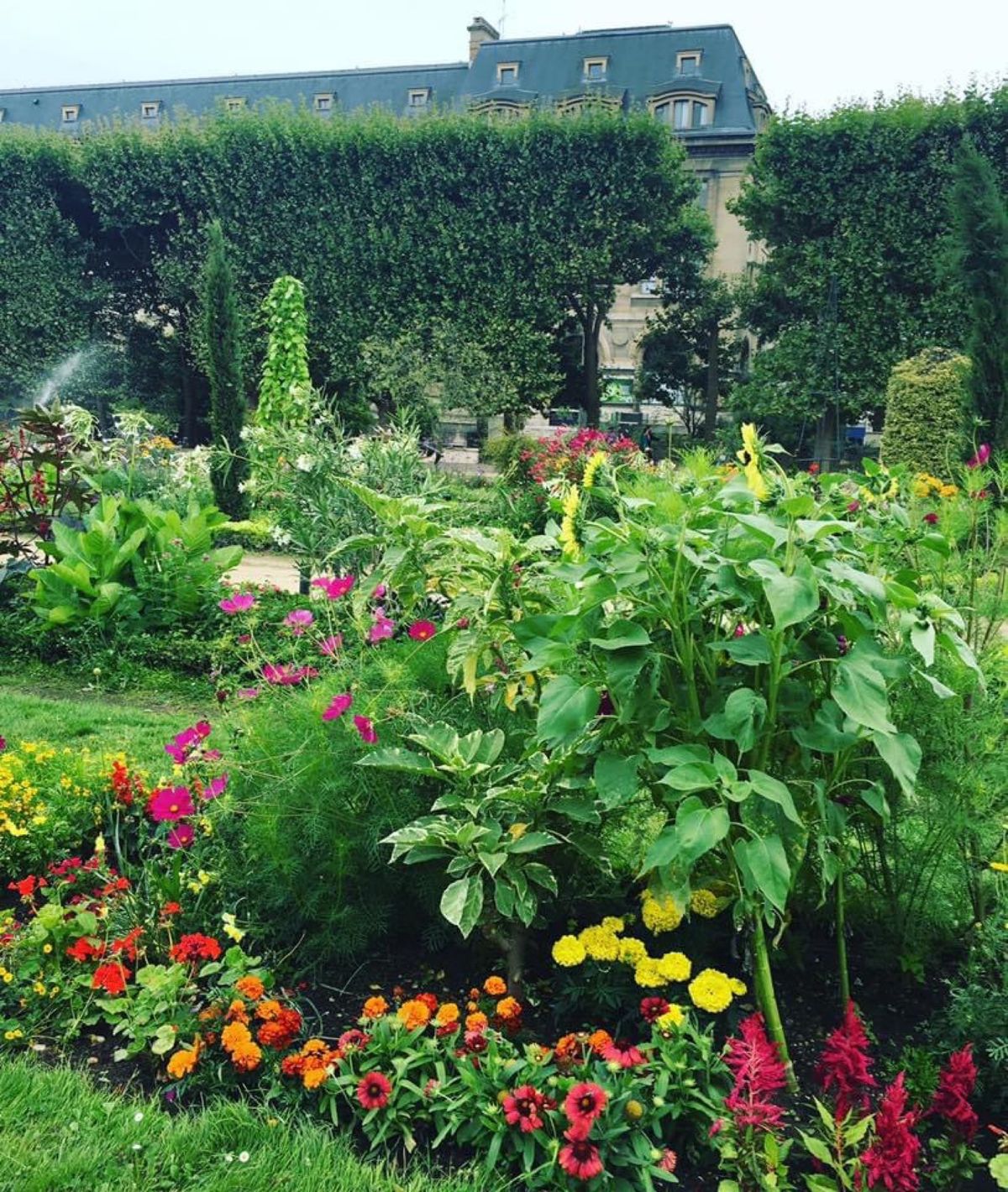 2016フランス🇫🇷パリ。
パリ植物園付属動物園。クリュニー中世美術館が休...