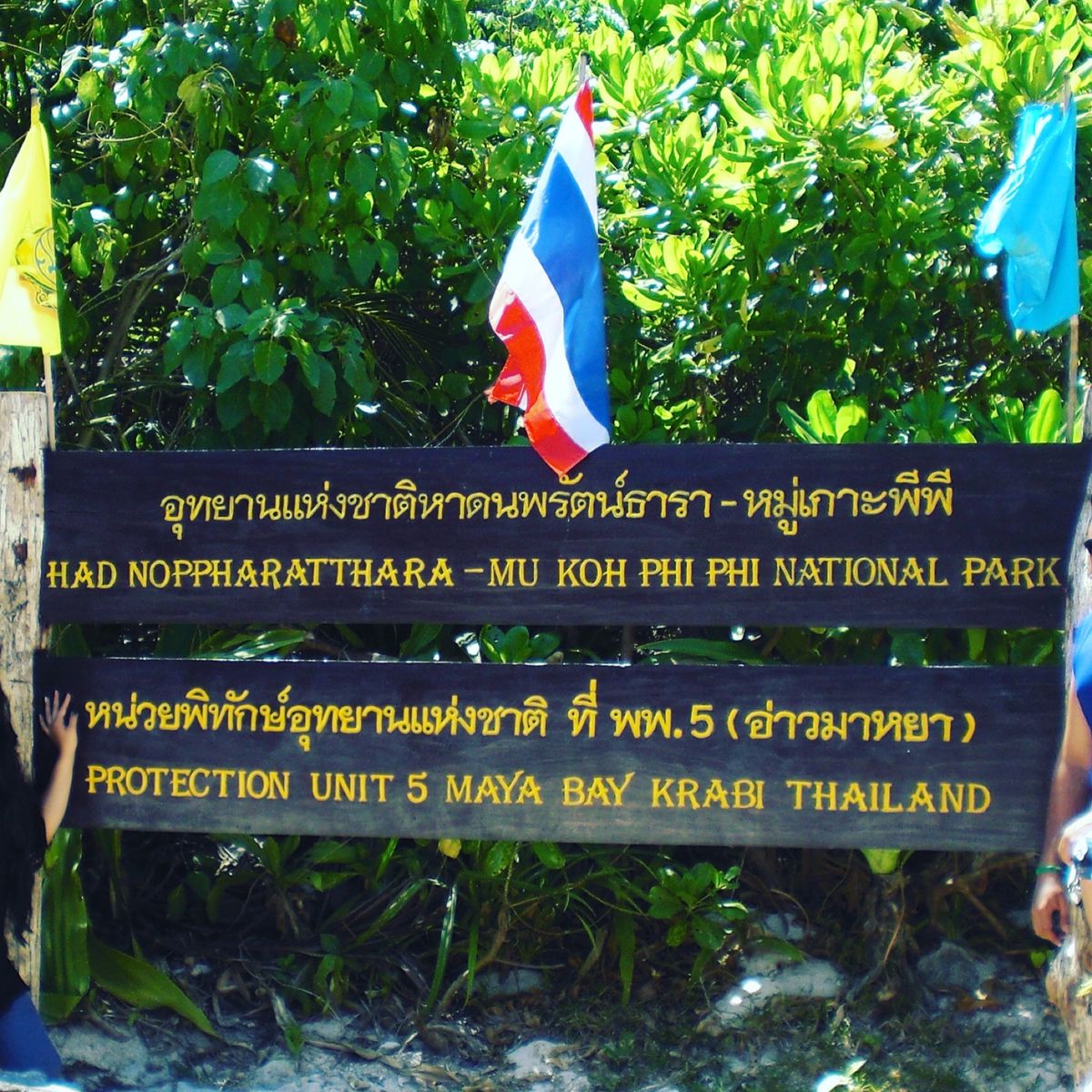 2013年タイ🇹🇭プーケット。「The Beach」が撮影されたピヒ...