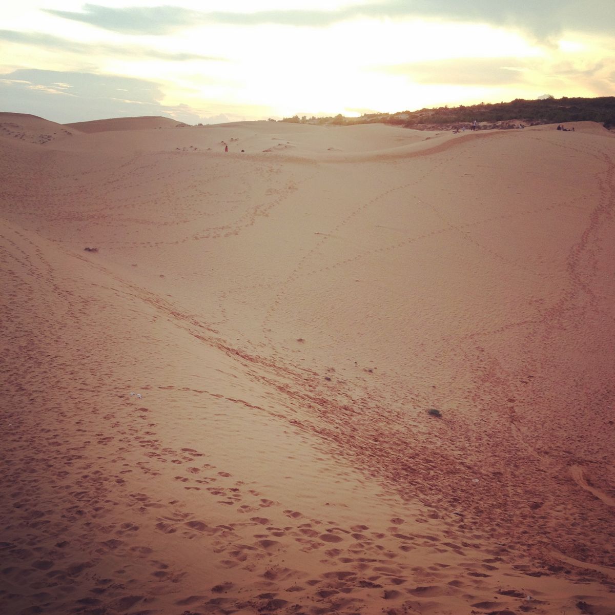 2012年ベトナム🇻🇳ムイネー。
ベトナムの穴場リゾート。人生初の砂...