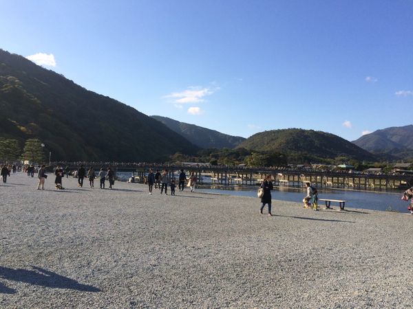 日本・京都市「2015京都嵐山」の写真