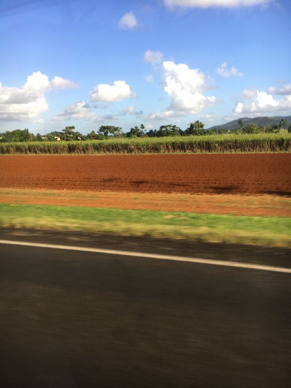 オーストラリア連邦・ケアンズ「オーストラリア　ケアンズ家族旅行」の写真：パロネラ パーク　穴場の観光スポット　お...