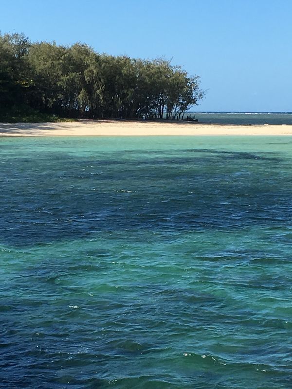 オーストラリア連邦・ケアンズ「オーストラリア　ケアンズ家族旅行」の写真：グレートバリアリーフ　世界遺産　グリーン...