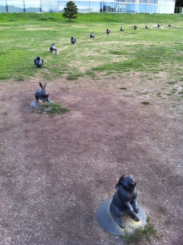 日本・島根県「島根、鳥取」の写真：松江