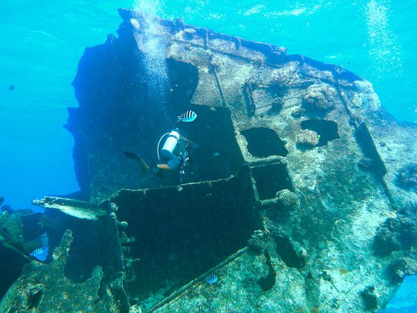 北マリアナ諸島・サイパン「サイパン  ビジネスクラスで沈船ダイビング旅行」の写真：サイパンでは沈船ダイビングや洞窟ダイビン...