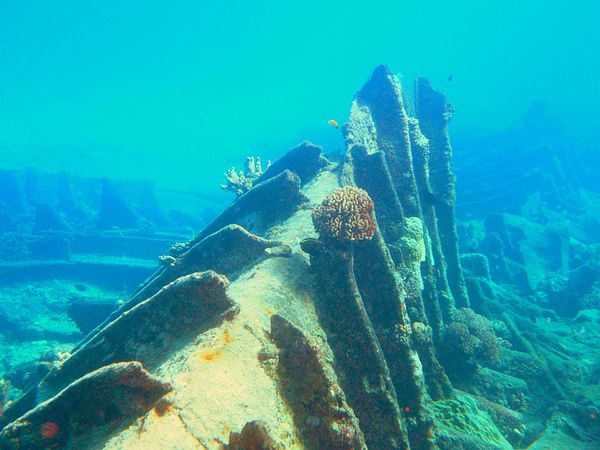 北マリアナ諸島・サイパン「サイパン  ビジネスクラスで沈船ダイビング旅行」の写真：サイパンでは沈船ダイビングや洞窟ダイビン...
