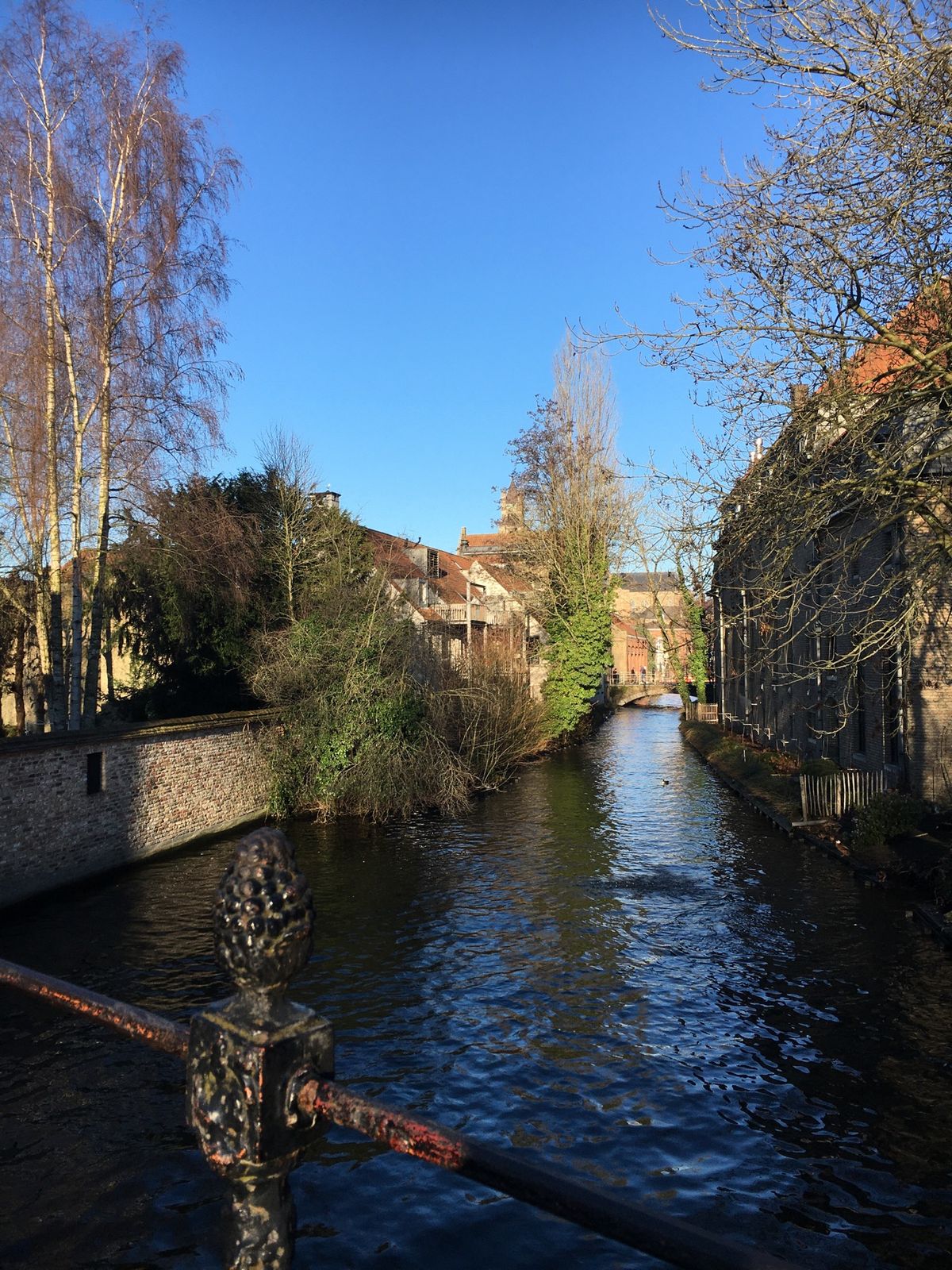 #ブルージュ運河クルーズ景色が素敵
#ケント 古城　来て良かった❣️
