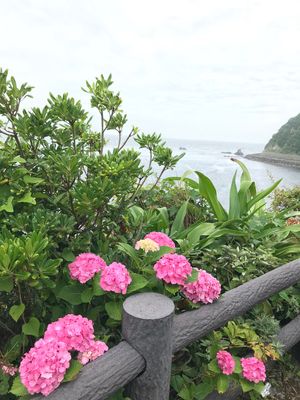 鳥羽市神島町