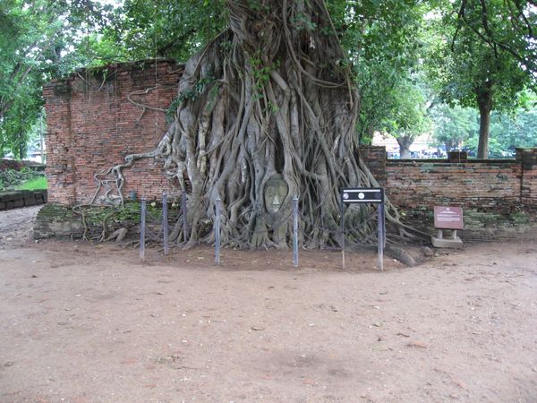 タイ・バンコク「タイ-バンコク・アユタヤ・スコータイの旅」の写真