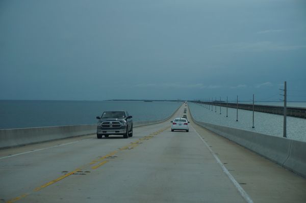 アメリカ(米国)・フロリダ「アメリカ-フロリダの旅」の写真