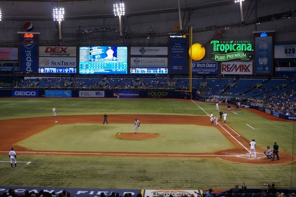 アメリカ(米国)・フロリダ「アメリカ-フロリダの旅」の写真