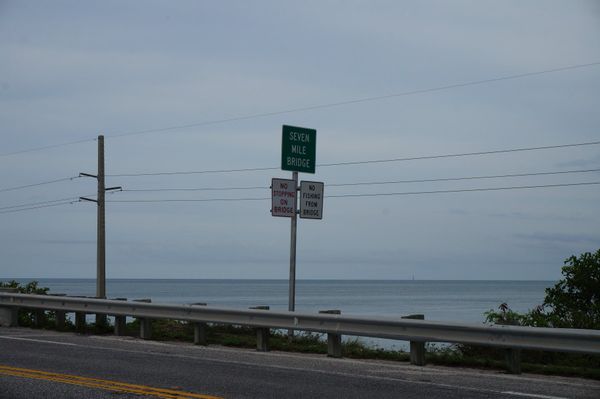 アメリカ(米国)・フロリダ「アメリカ-フロリダの旅」の写真