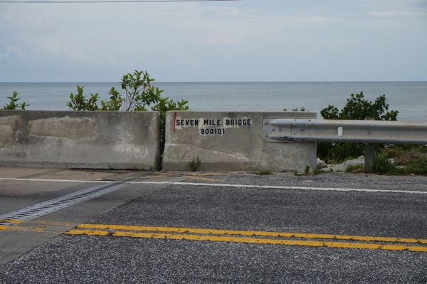 アメリカ(米国)・フロリダ「アメリカ-フロリダの旅」の写真