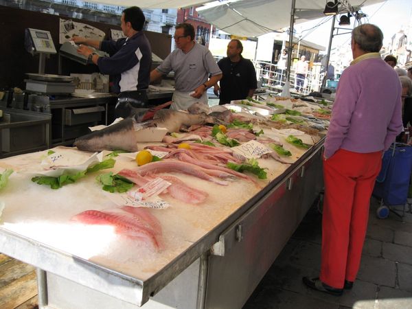 イタリア・ローマ「欧州バックパックの旅-イタリア編-」の写真