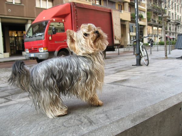 イタリア・ローマ「欧州バックパックの旅-イタリア編-」の写真