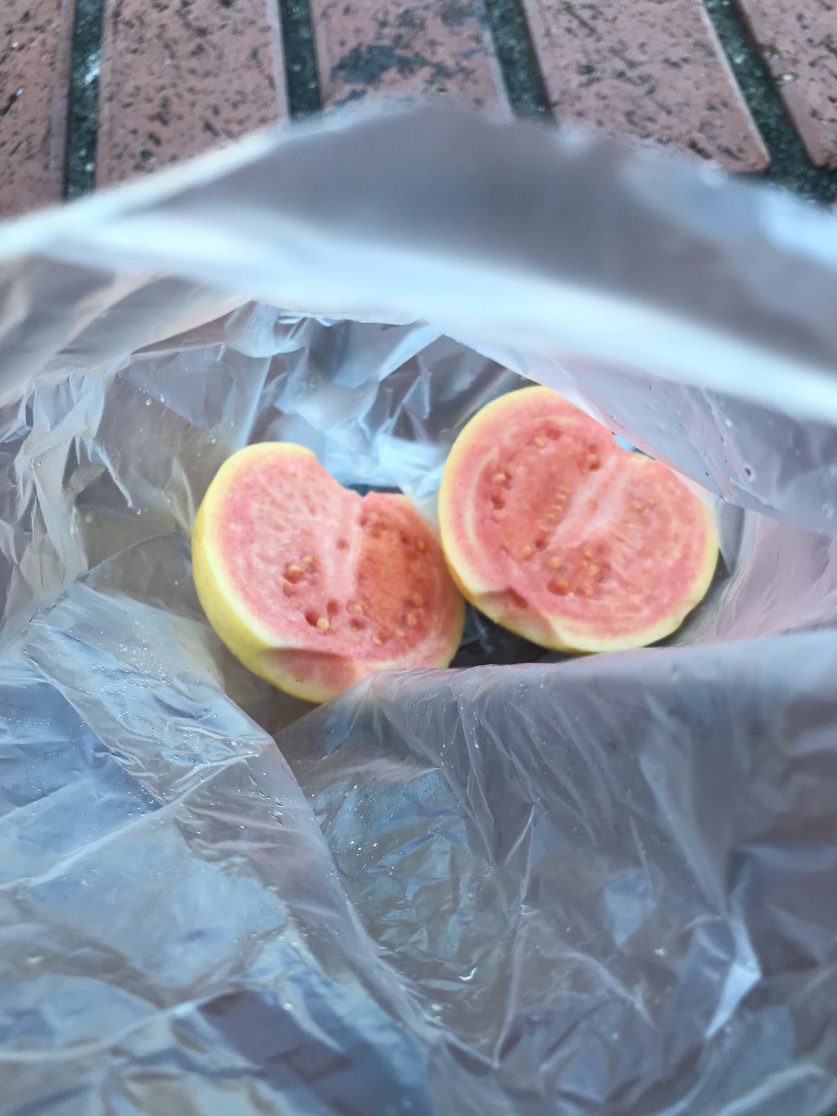 朝の九份と九份で食べたグアバ。
駅。