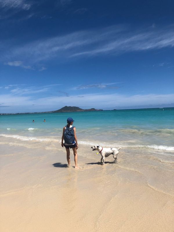 アメリカ(米国)・オアフ島「ハワイ　2019」の写真：大好きなカイルアビーチ