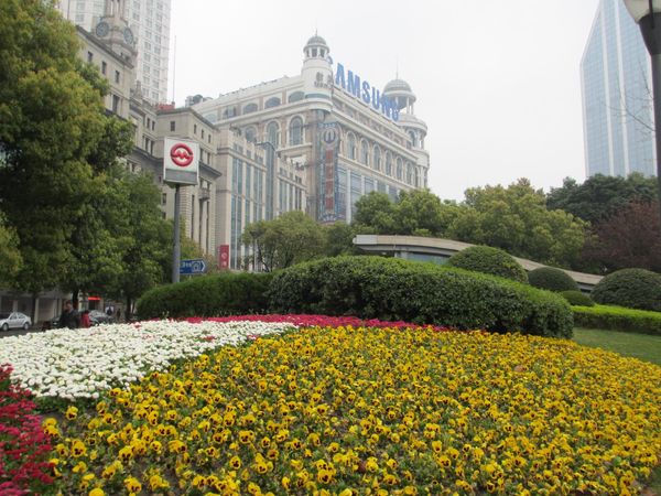 中国・上海「中国-上海の旅」の写真