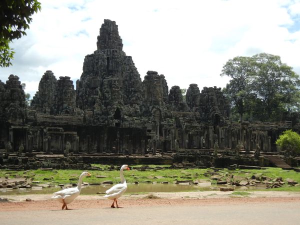 カンボジア・シェムリアップ「カンボジア-シェムリアップの旅」の写真