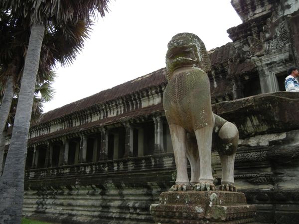 カンボジア・シェムリアップ「カンボジア-シェムリアップの旅」の写真