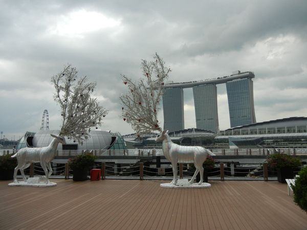 シンガポール・シンガポール「シンガポール-シンガポールの旅」の写真