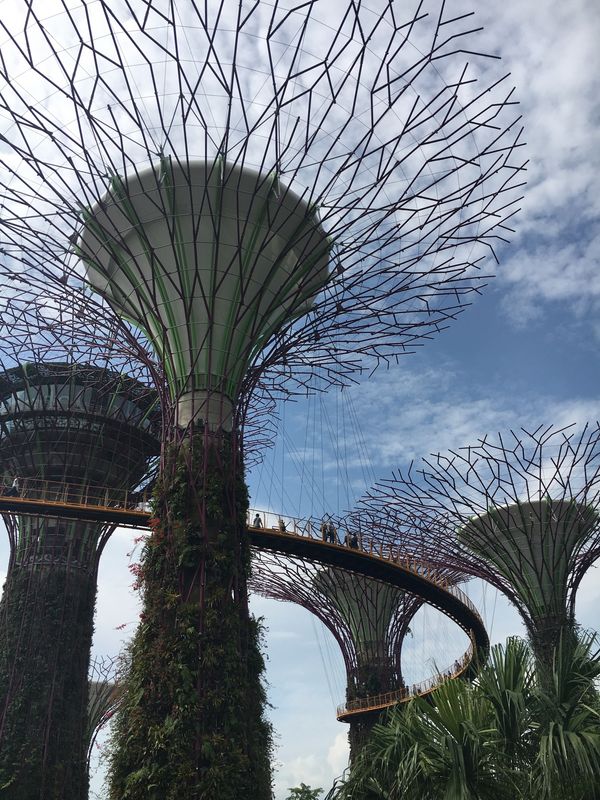 シンガポール「Trip to Singapore」の写真