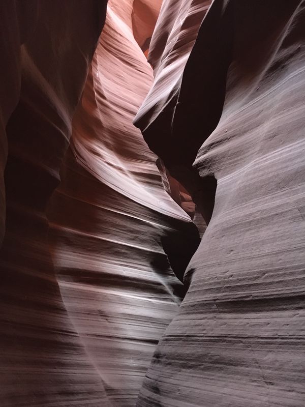 アメリカ(米国)・グランドキャニオン「Trip to Grand Canyon」の写真