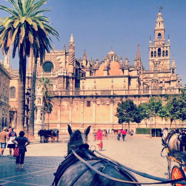 スペイン・バルセロナ「スペイン女子旅」の写真：コルドバ