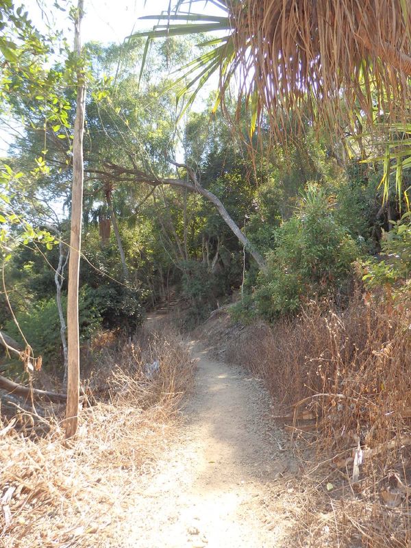 オーストラリア連邦・ケアンズ「グレートバリアリーフ女子旅」の写真：朝活。トレッキングルートがいくつもあり、...