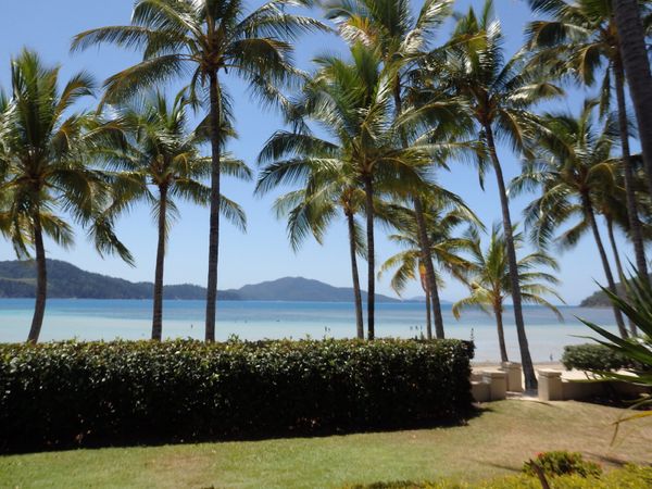 オーストラリア連邦・ケアンズ「グレートバリアリーフ女子旅」の写真