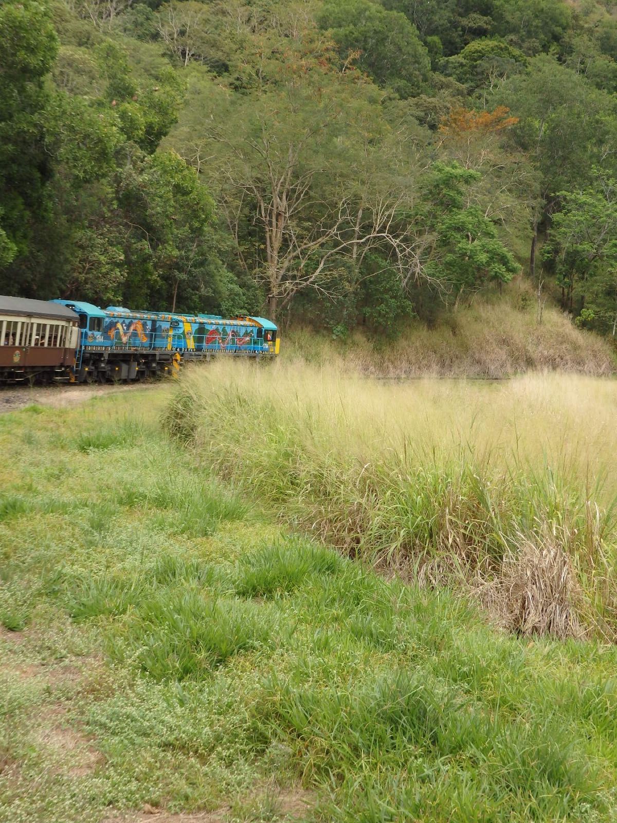 観光初日のケアンズ。キュランダ鉄道の景色。
海外には一眼は持っていかないの...