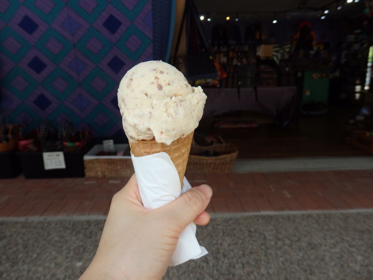 コアラ抱っこや名物おじいちゃんのアイス、アーミーダックツアーへ行きました✌...