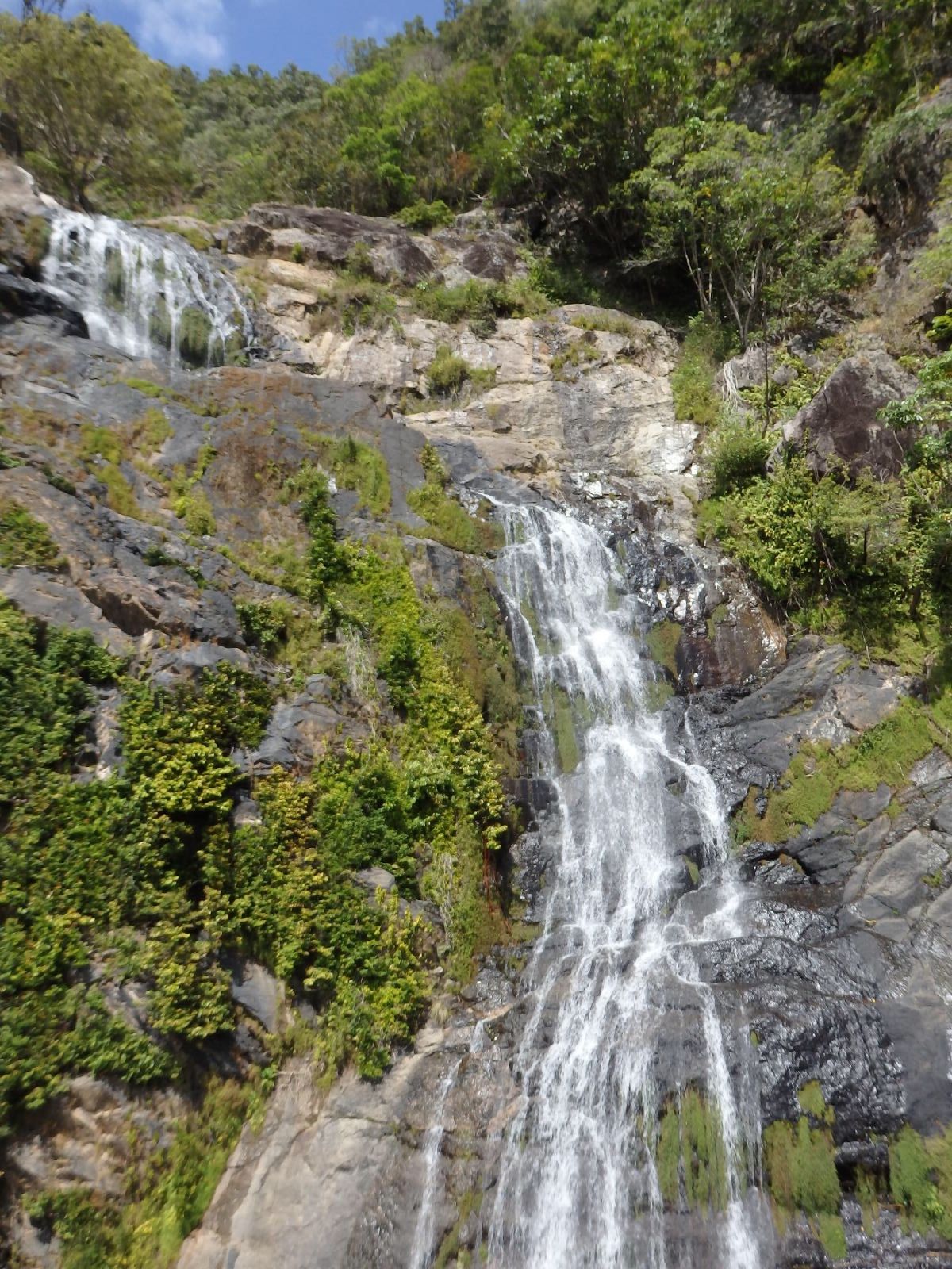 観光初日のケアンズ。キュランダ鉄道の景色。
海外には一眼は持っていかないの...