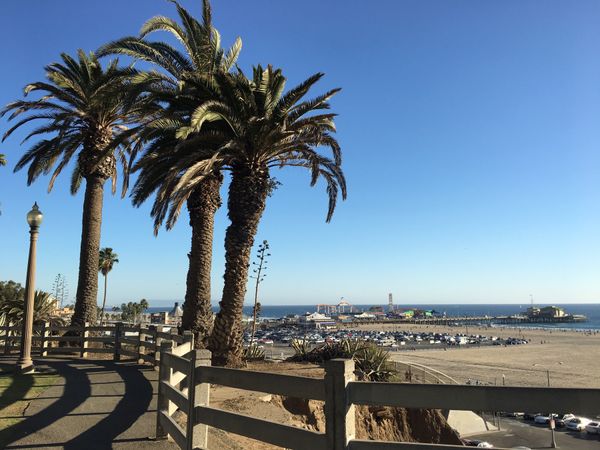 アメリカ(米国)・ロサンゼルス「LA-bffとの時間💗」の写真：Santa Monica beach🌴