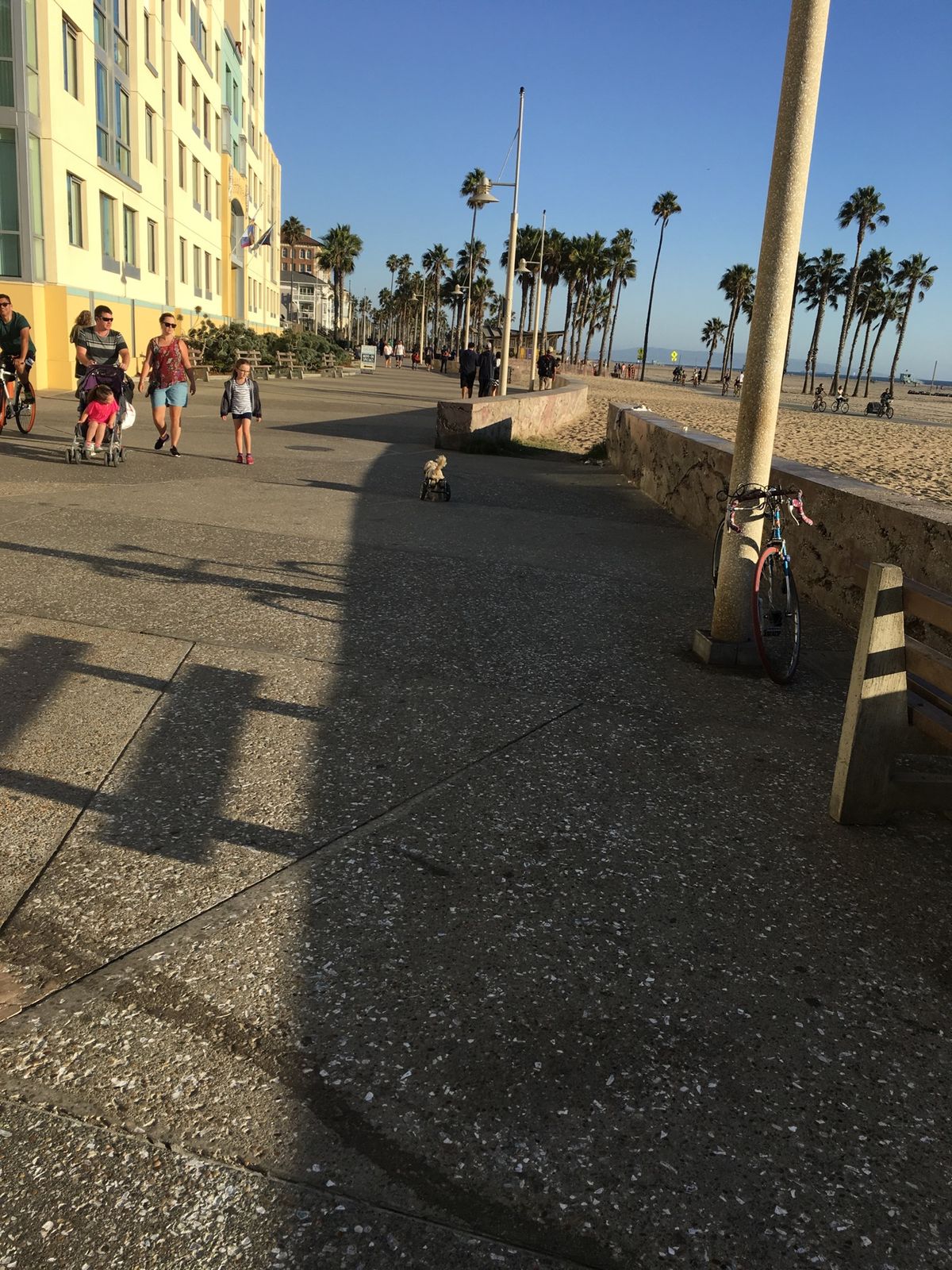 Santa Monica beach🌴